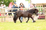 SBM_04328