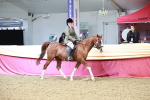 SBM_02990