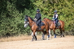 WJ6_8338