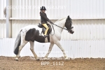 BPP_1112