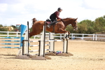 SBM_003640