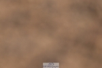 260626-191409-01160