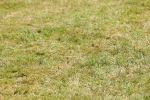 SBM_05318