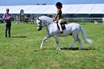 SBM_06037