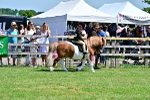 SBM_05813