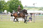SBM_16246
