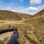 Forest of Bowland