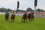 270724-Race 6-Ziggy-4794