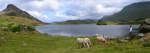 Llyn Cregennan Cader Idris