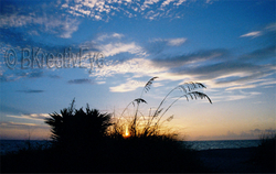 SunCldBchWatr049