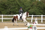 SBM_001020
