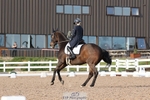 Cls 15 FEI Young Rider Individual portfolio