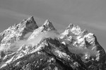 The Cathedral Group