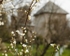 Sargov Monastery #1