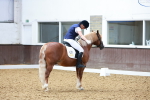 SBM_009018