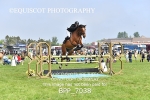 BPP_7038