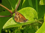 Gatekeeper