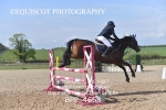 1ST - 4TH MAY 2026 - BS SENIOR CAT 1 CHAMPIONSHIP SHOW - MUIRMILL EC portfolio