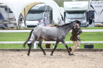 SBM_19032