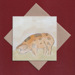 Gloucester old spot pig greetings card