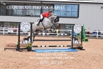 BPP_8729