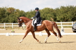 SBM_004554