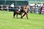 SBM_03557