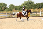 SBM_005620