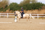 SBM_009786