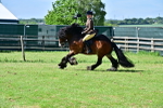 SBM_09335
