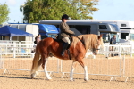 SBM_08165