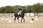 SBM_006913