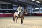 Class 108 Ridden Retired Racehorse- Pre Judging portfolio
