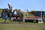 WJ5_8528