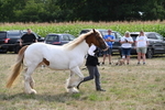WJ6_6579