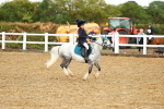 SBM_000806