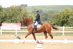 SBM_007393