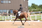 113-Ruby.Gumbley-Nova's.Golden.Dream portfolio