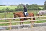 BPP_3689