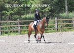 BPP_0328