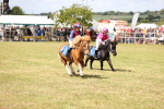 SBM_16538