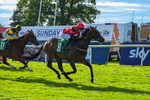 310526-Race 6-Mountain Road-9296