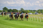 160725-Race 6-Bellarchi-9388