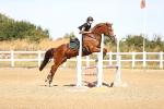 SBM_000337