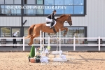 BPP_6517