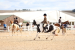 SBM_15851