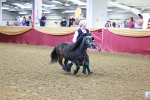 SBM_14763
