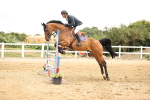 SBM_003336