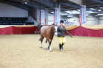 SBM_00460