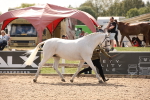 SBM_04544